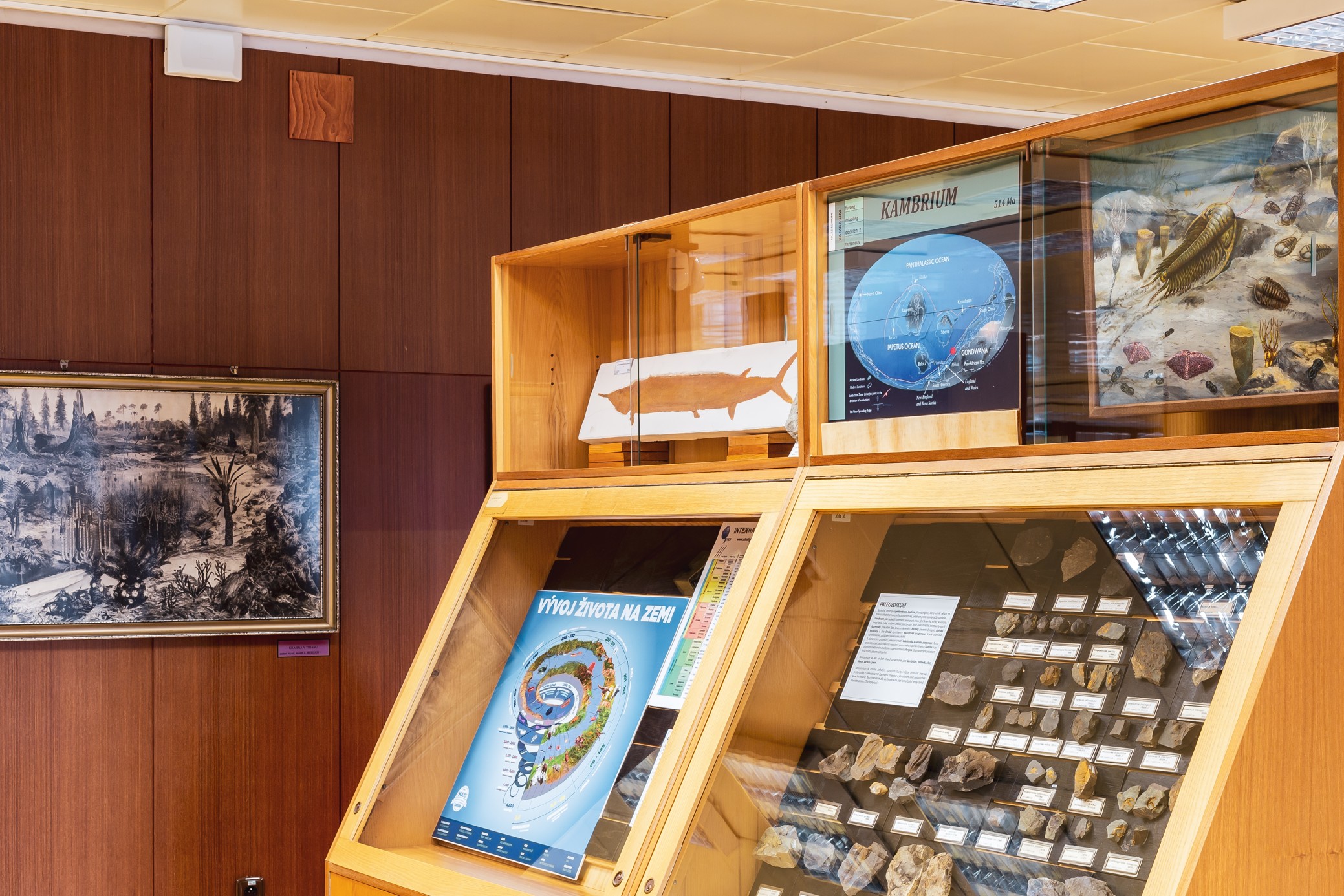 2. patro Sbírka Historické geologie