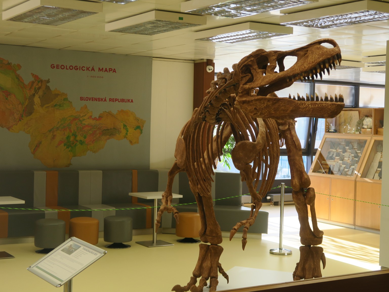 2. patro Sbírka Historické geologie T-rex
