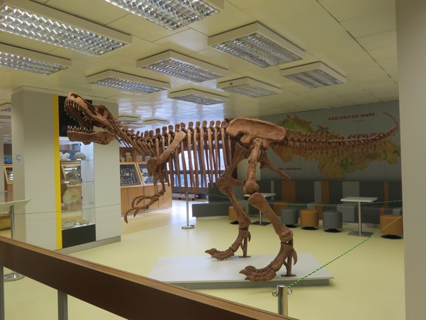 2. patro Sbírka Historické geologie T-rex