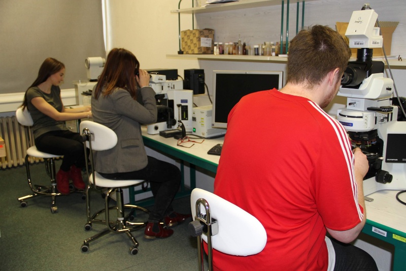 Geologické inženýrství